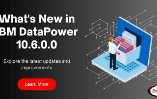 IBM DataPower 10.6.0.0 release highlights and new features